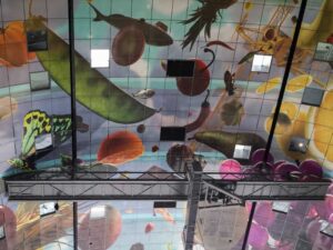 cbp_samvo_werkbrug_markthal